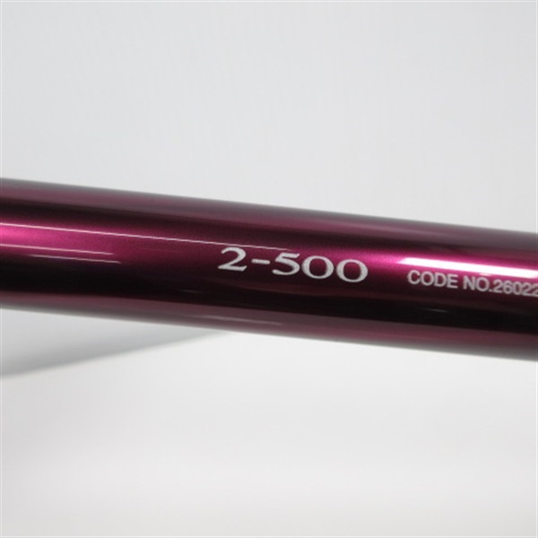 ２２ベイシス２－５００